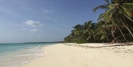 Coastal Environment