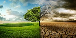 Dashboard : Desertification & Land Degradation